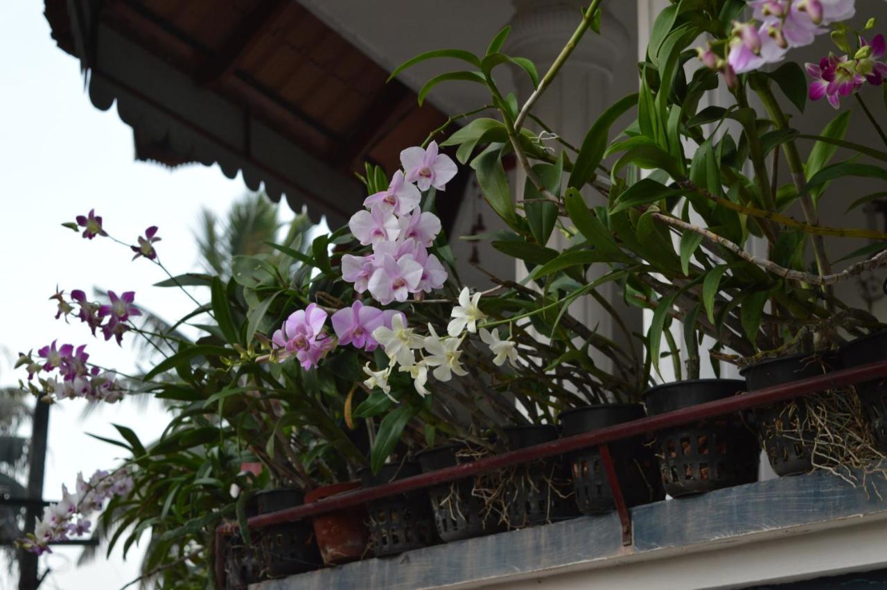 Dream Catcher Home Stay Коччи Экстерьер фото
