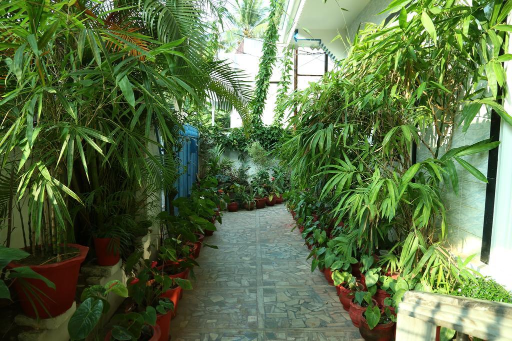 Dream Catcher Home Stay Коччи Экстерьер фото